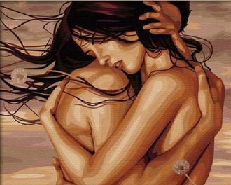 G028 Картина по номерам "Чувства"