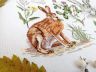03.014.16 Набор для вышивания Марья Искусница "Зоология. Заяц Русак"