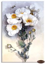 PT150184 Папертоль Магия Хобби «Ароматные пионы»