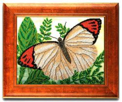 В-408 "Летящий шифон" (КРОШЕ)