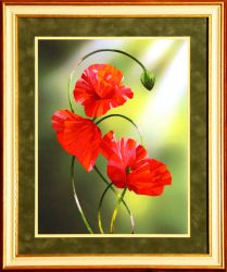 N0025 "Фламенко" (Рисуем иглой)