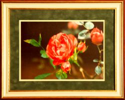 N0026 "Розовые мечты" (Рисуем иглой)