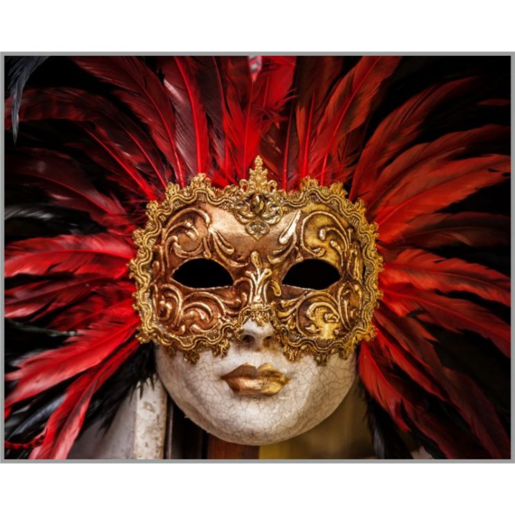 F-419  Алмазная мозаика Милато "Дама из Венеции"