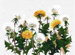 6045-14 Озорные одуванчики (Белоснежка)