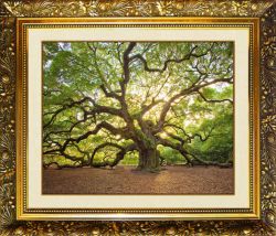 ML-53 Алмазная мозаика МИЛАТО "Вековая мощь"