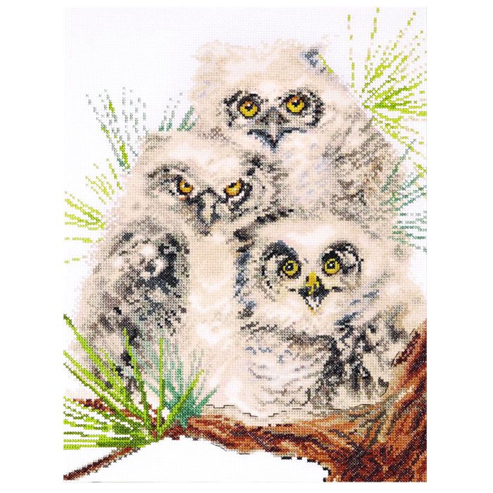 Набор для вышивания крестом Design Works "Совиное трио" 2781