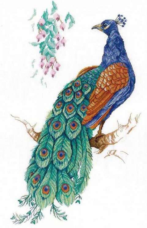 НВ-536 Набор для вышивания М.П.Студия "Птица счастья"