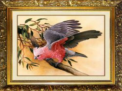 N-345 Алмазная мозаика МИЛАТО "Попугай на ветке"