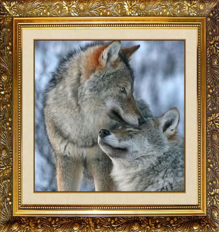 Алмазная мозаика Милато "Волчья нежность" F-335