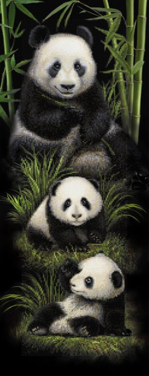 БС-026 Алмазная мозаика (кругл) Наследие "Панды"