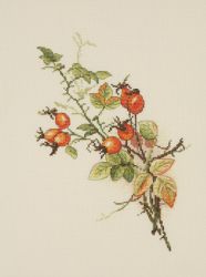 04.001.05 Набор для вышивания Марья Искусница "Осенний шиповник"