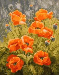 GX6741 Маки цветут (Paintboy)