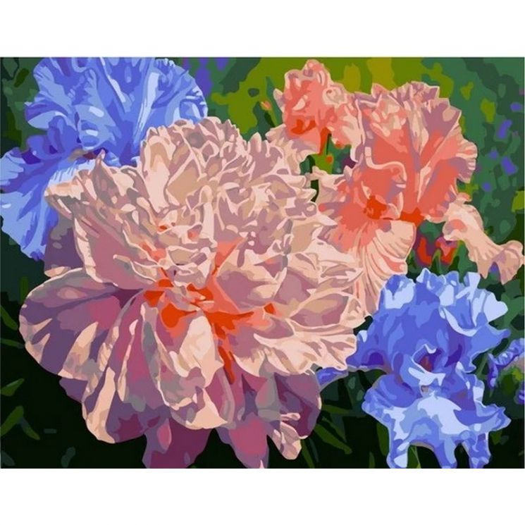  Картина по номерам  "Ирисы и пионы", MCA930 40х50 см