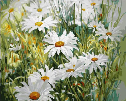 GX 32263 Картина по номерам Paintboy "Ромашки в поле"