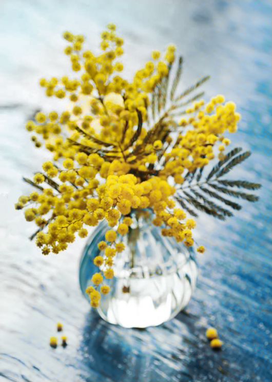 Ag 283 Алмазная мозаика Гранни "Мимоза"