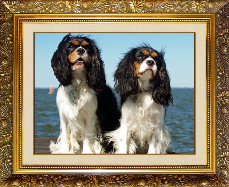 Алмазная мозаика МИЛАТО "Сладкая парочка"