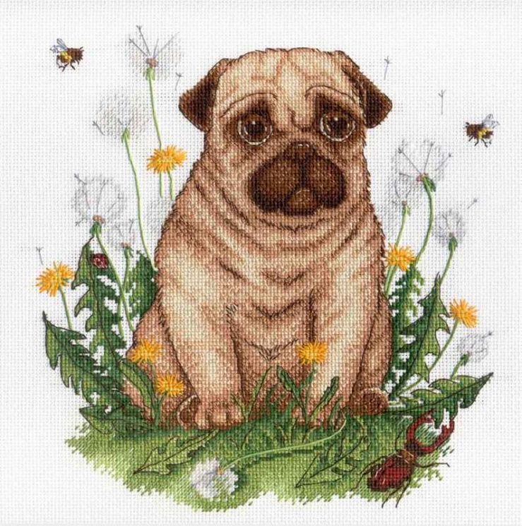 НВ-613 Набор для вышивания М.П.Студия "Четвероногий друг"