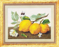 М-104 Набор для вышивания Чаривна Мить "Лимонная сиеста"