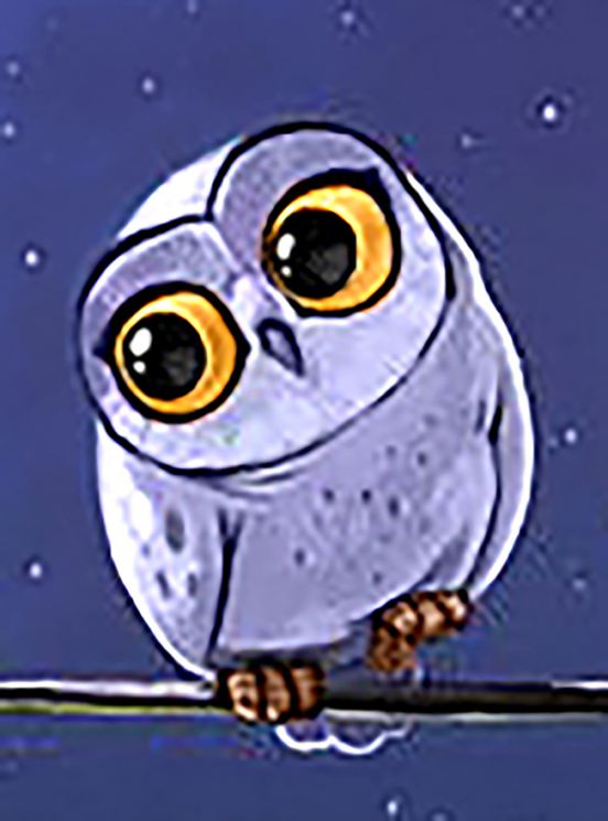 Ag 2273 Алмазная мозаика Гранни "Совенок"