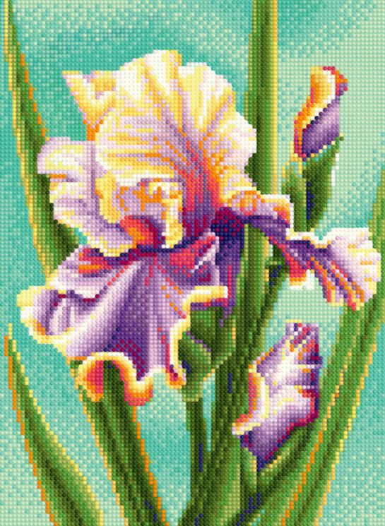  Алмазная мозаика ТМ Наследие "Ирис Декаданс" БСА3-181