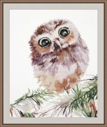 956 "Удивление" (Овен)